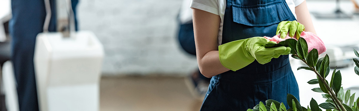 17 QUESTIONS TO ASK DURING YOUR COMMERCIAL & OFFICE CLEANING COMPANY SEARCH